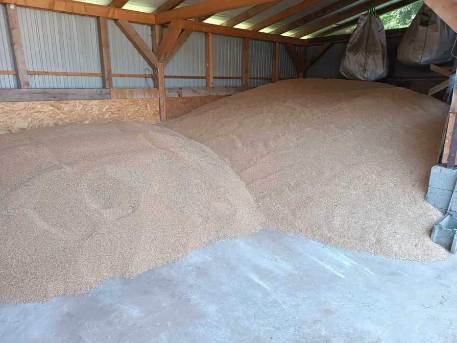 Grau 2025 !!! Exotic