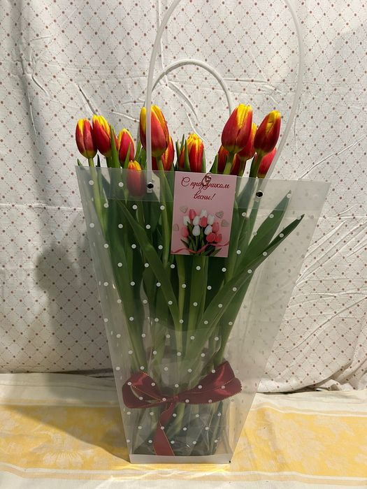 Тюлпаны Город Павлодар Аксу