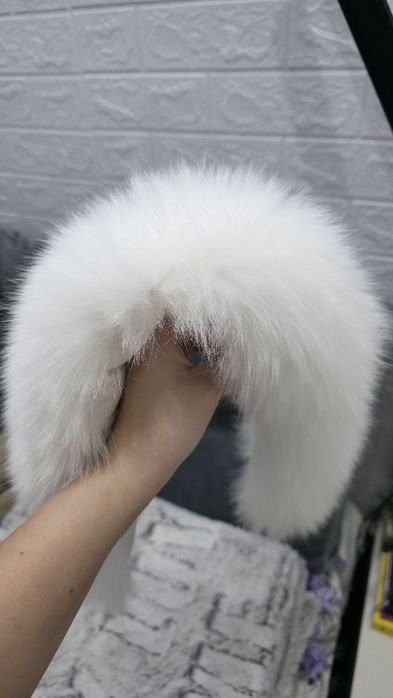 Guler de blana alba Vulpe polara etola