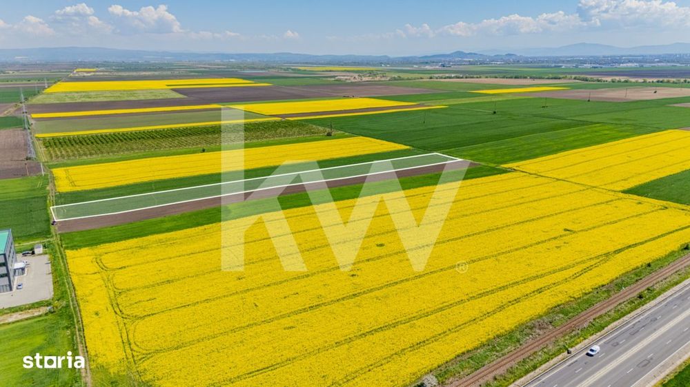 Teren 10.600 mp in Codlea – ideal pentru investitie industriala