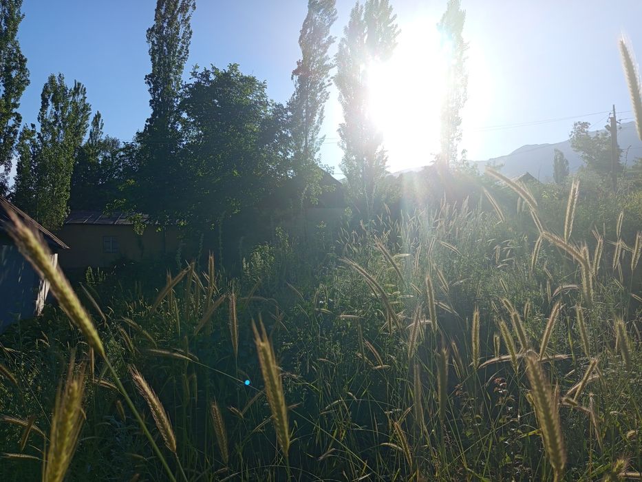 Участка сотилады