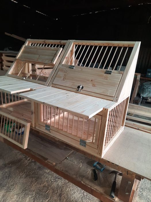 Sputnic/ intrare porumbei