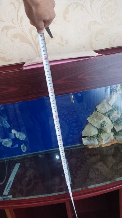 Akvarium holati yaxshi