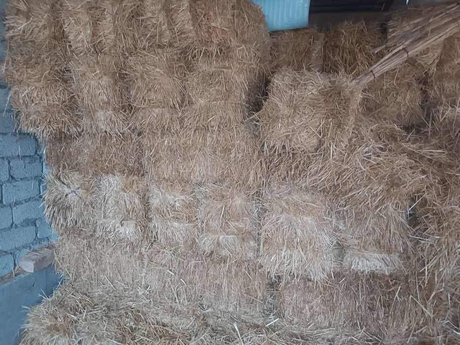 Somon press                                 .