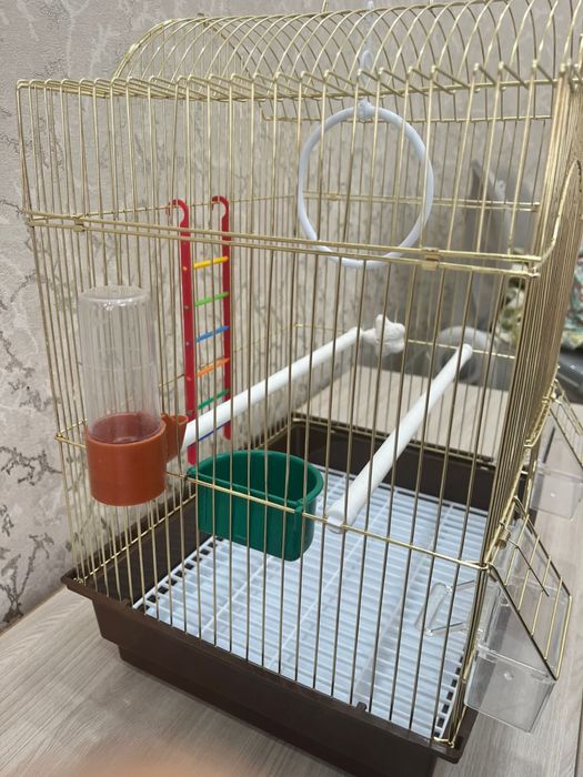 клетка для двух попугаев