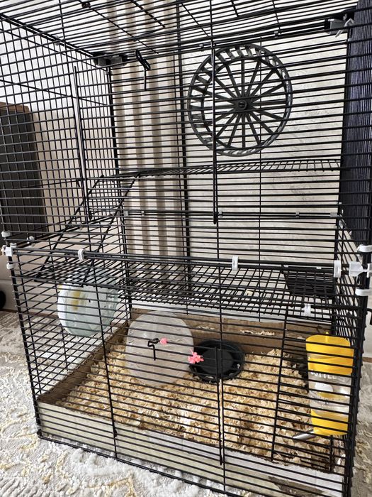 Хомяки,  клетка для хомяков