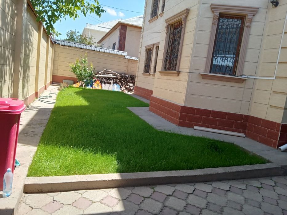 Газон Автополив Клевер