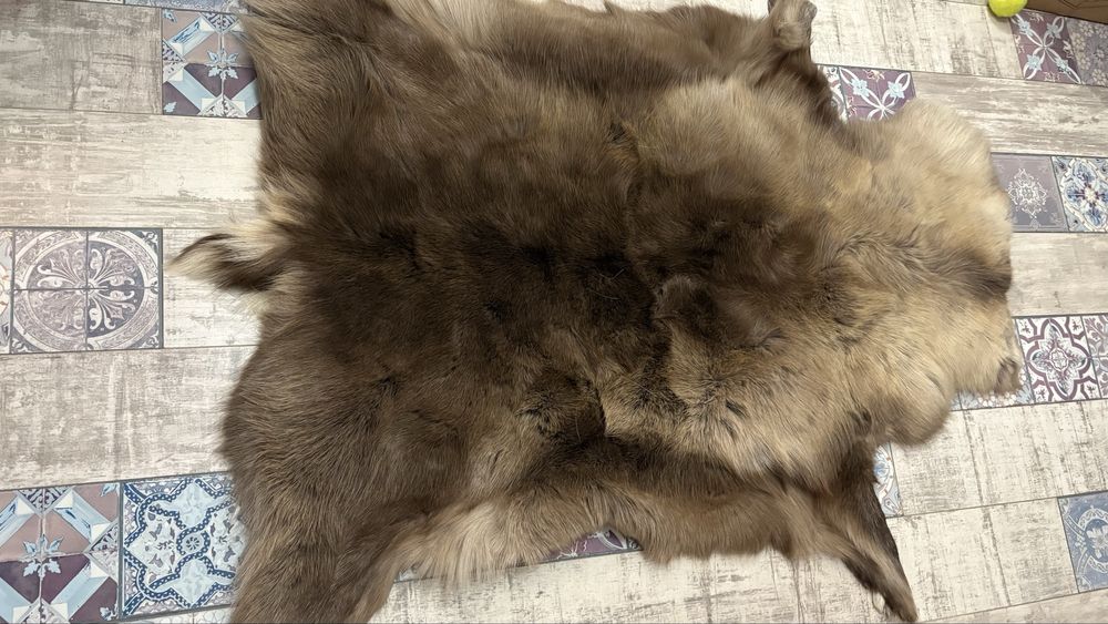 Естествена кожа от северен елен нова