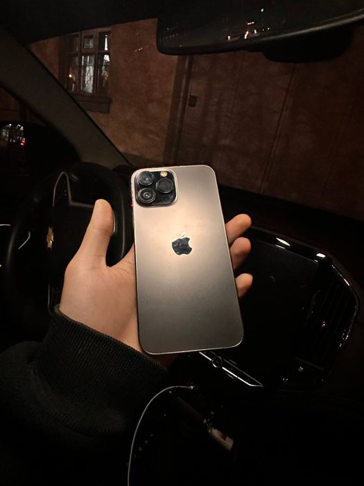 Iphone 13 pro max 256 dual