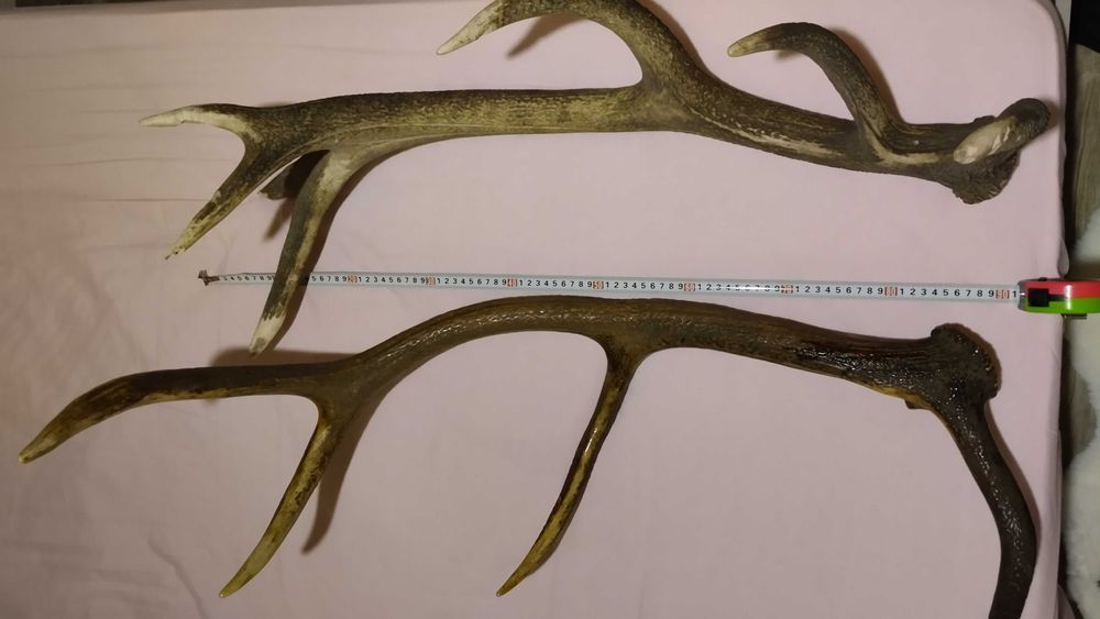 Декор, украса, сувенир