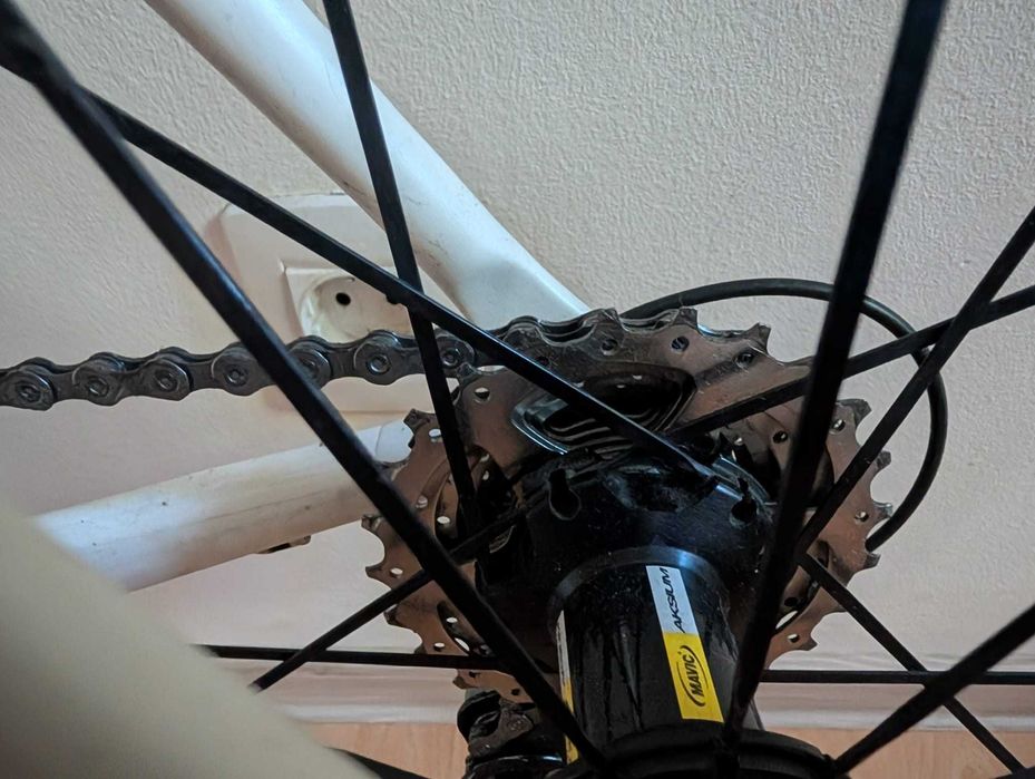 Cursiera Carbon GT Pro