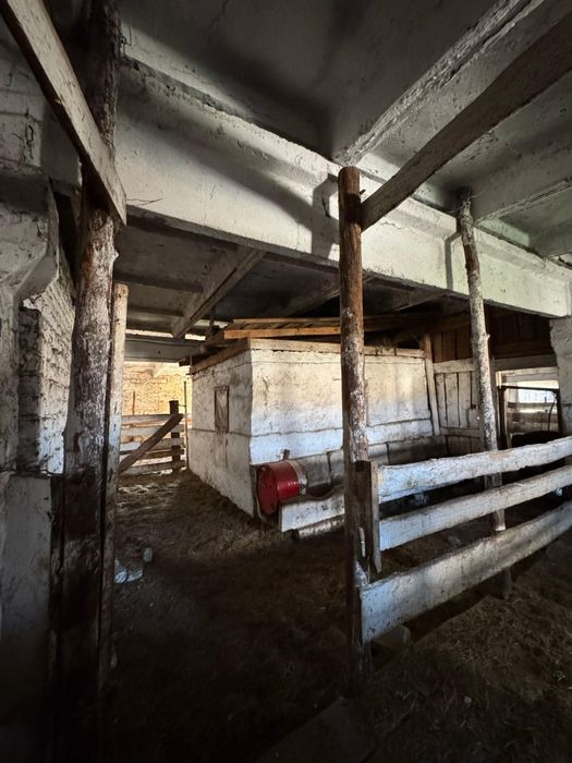 Продам Крестьянское хозяйство