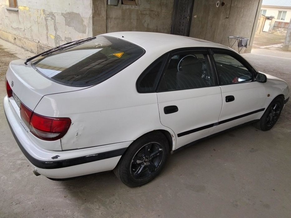 Карина Е 2 обьем