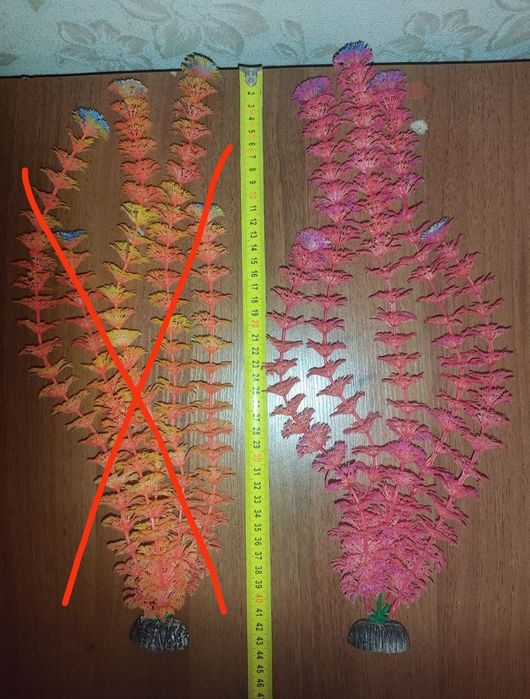 Растения в аквариум.