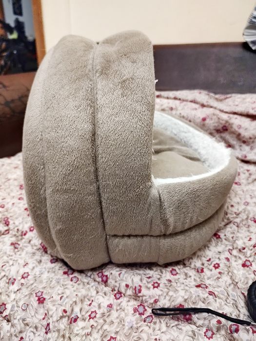 iglu "Pawise" pisici