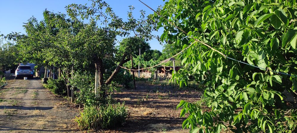 Продава се Къща в с. Воденичане, Област Ямбол - 80 кв.м за 274 €/кв.м - Снимка #5