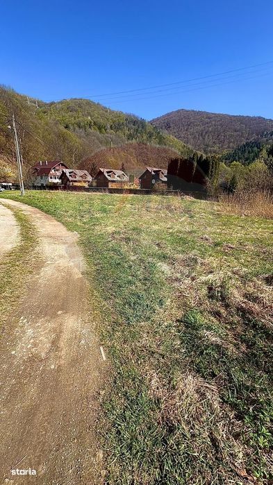 Teren Tarnița