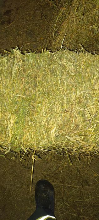 Baloți de vânzare.