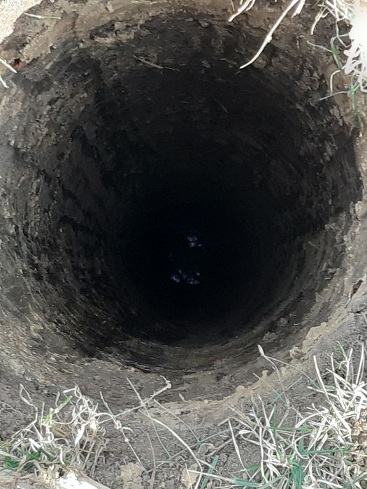 Foraje puturii și pilonii