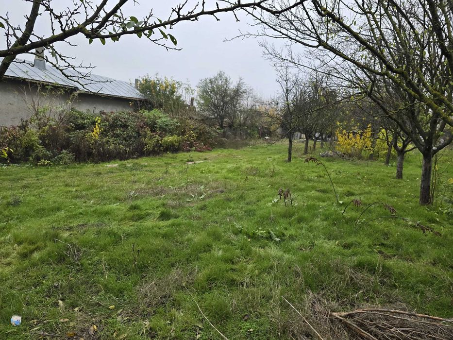 Proprietate deosebită cu 4000 mp teren, două case și hală