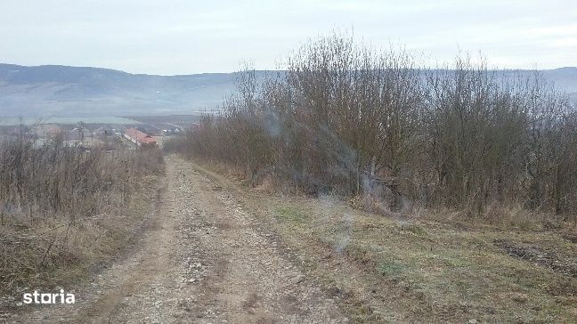 ID 9459: Teren 5.100 mp - Lechinta, Bistrita Nasaud