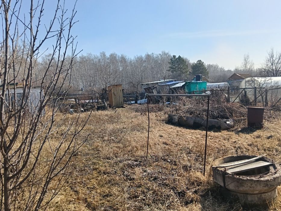 Продам дачу в Борках