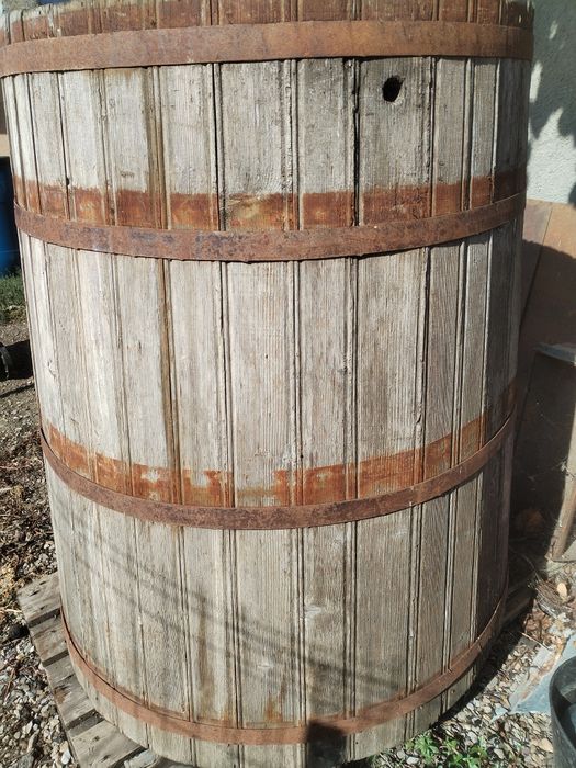 Cadă  pentru struguri