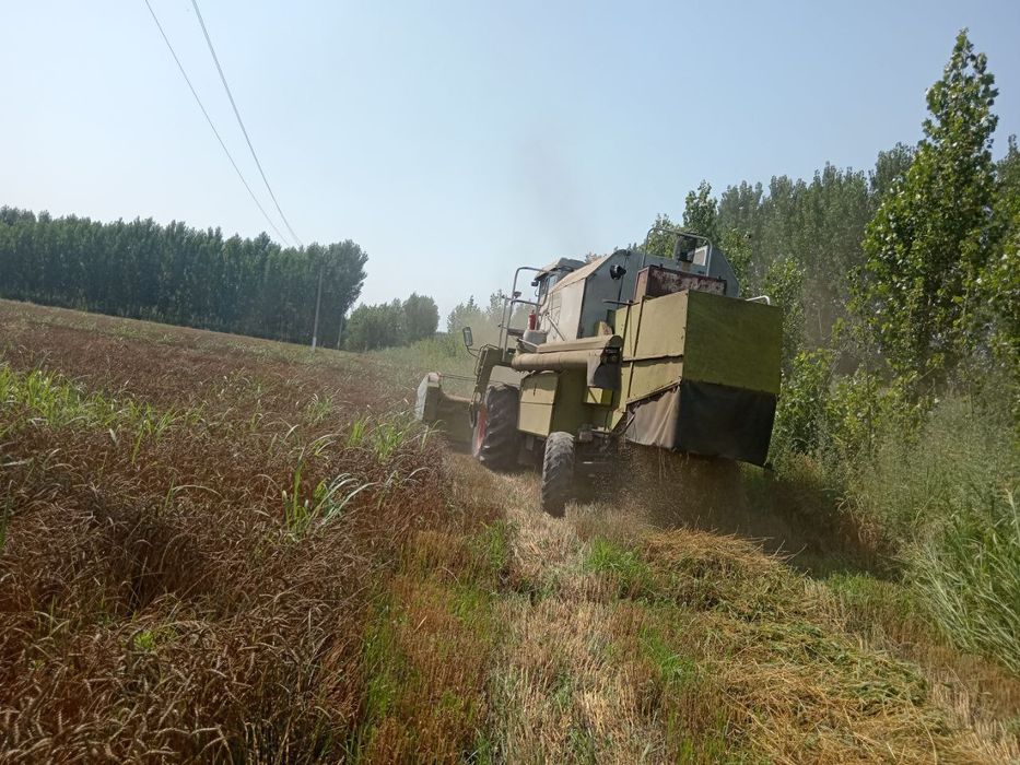 Kanbayin sotiladi xolati yaxshi