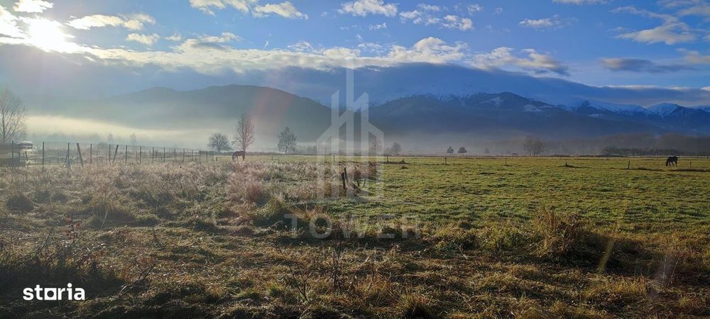 Teren intravilan de vânzare | Valea Avrigului-Porumbacu de Jos