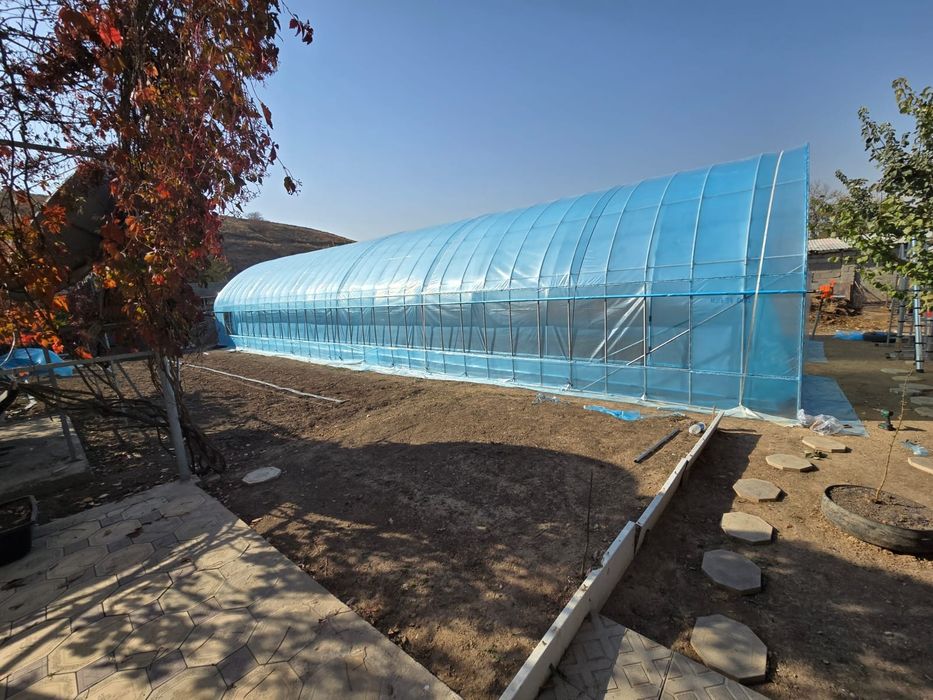 Карейская теплица