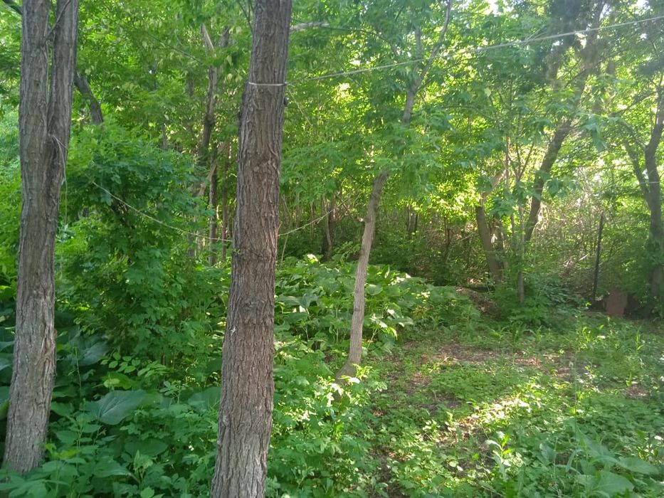 Дом с газовым отоплением