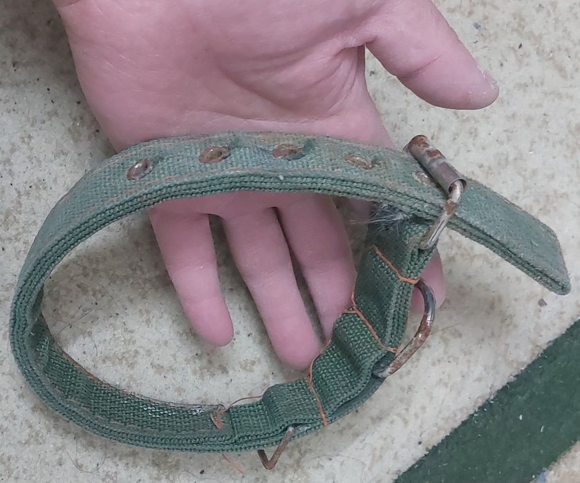 Новый Ошейник для собаки средний.