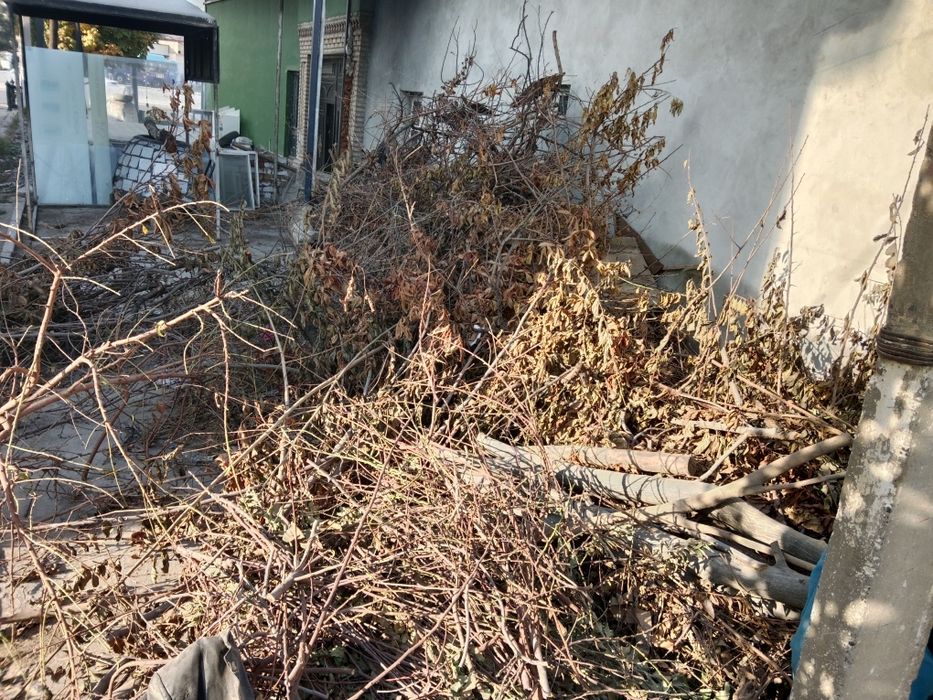 Утын сотилади Utin sotiladi