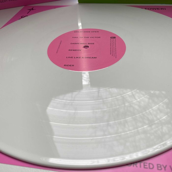 Пластинки Rage Against The Machine и 30 Second To Mars