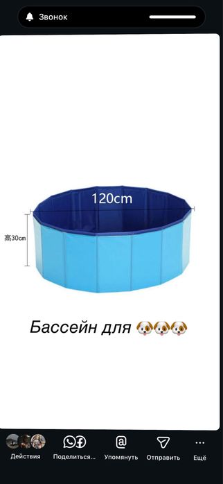 Бассейн для собак