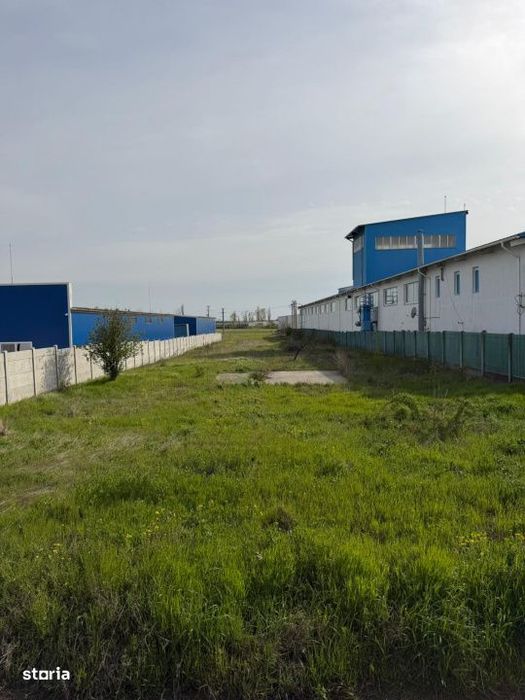 Teren de vanzare in zona Malu Mare, 5000mp ,front stradal 20m