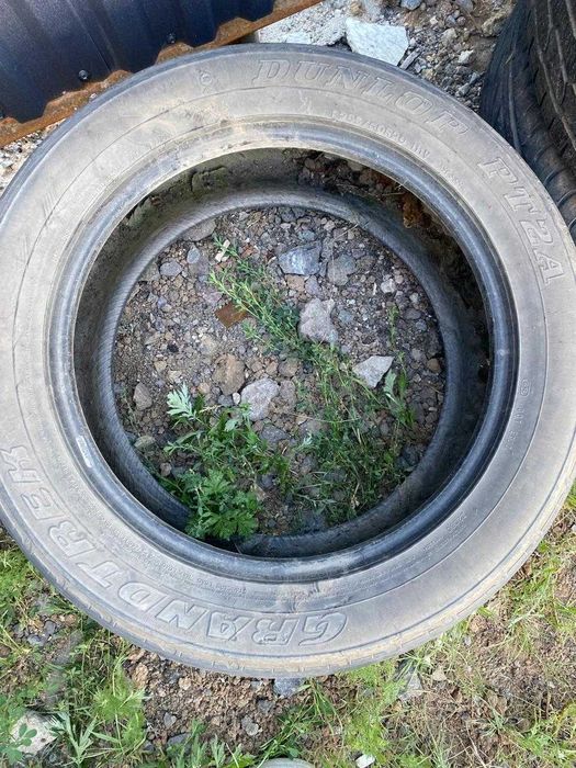 продам шины в ассортименте