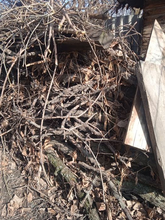 Отдам бесплатно дрова