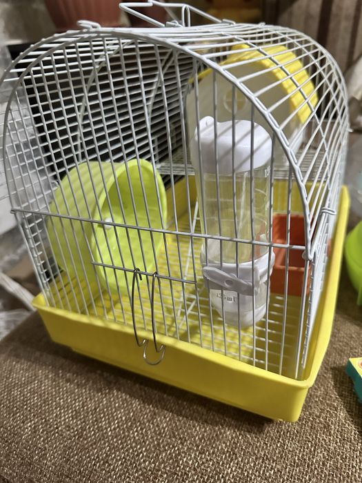Клетка для хомяка 5000 тг + подарки