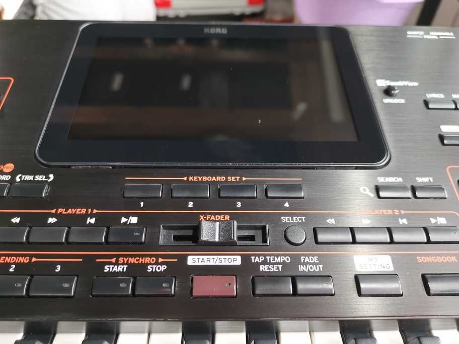 Service Igienizare/Estetizare/Mentenanta Clapa Korg Pa2x/Pa3x/Pa4x/Pa5