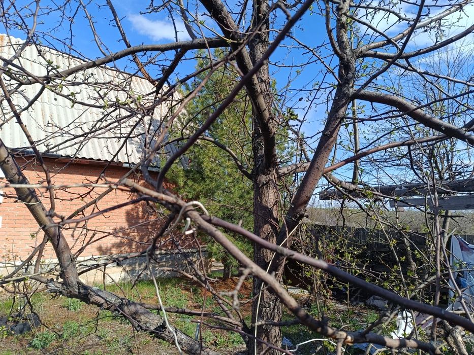 Дача (две дачи вместе)