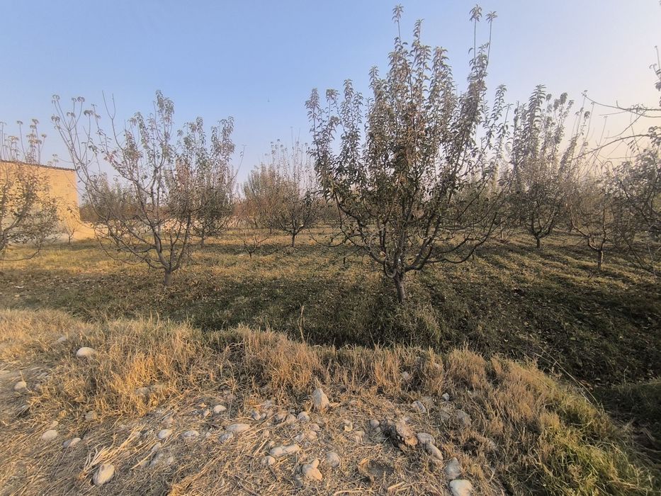 Chek, uchastka sotiladi.