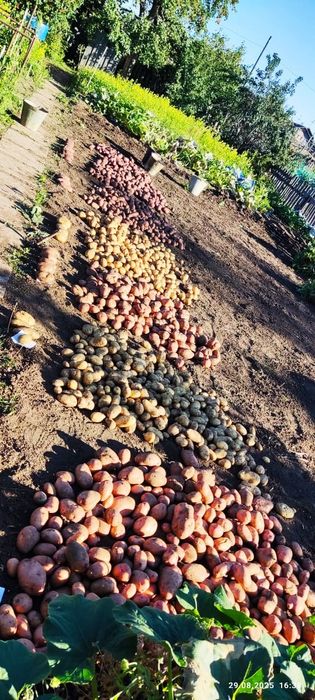 Продам Дачу Темирязево 5 линия