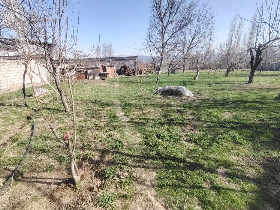 Yer sotiladi Oq towdan