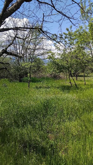 Продава имот в с.Бараково общ.Кочериново