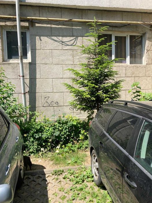 Vanzare spatiu comercial , Calea Republicii, Bacau