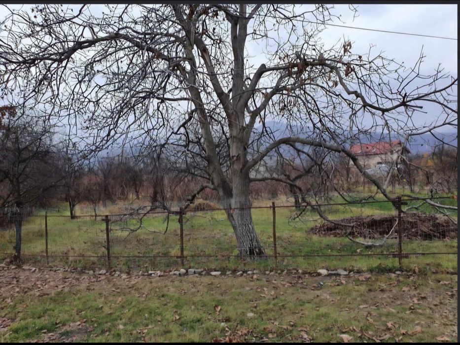 Teren intravilan