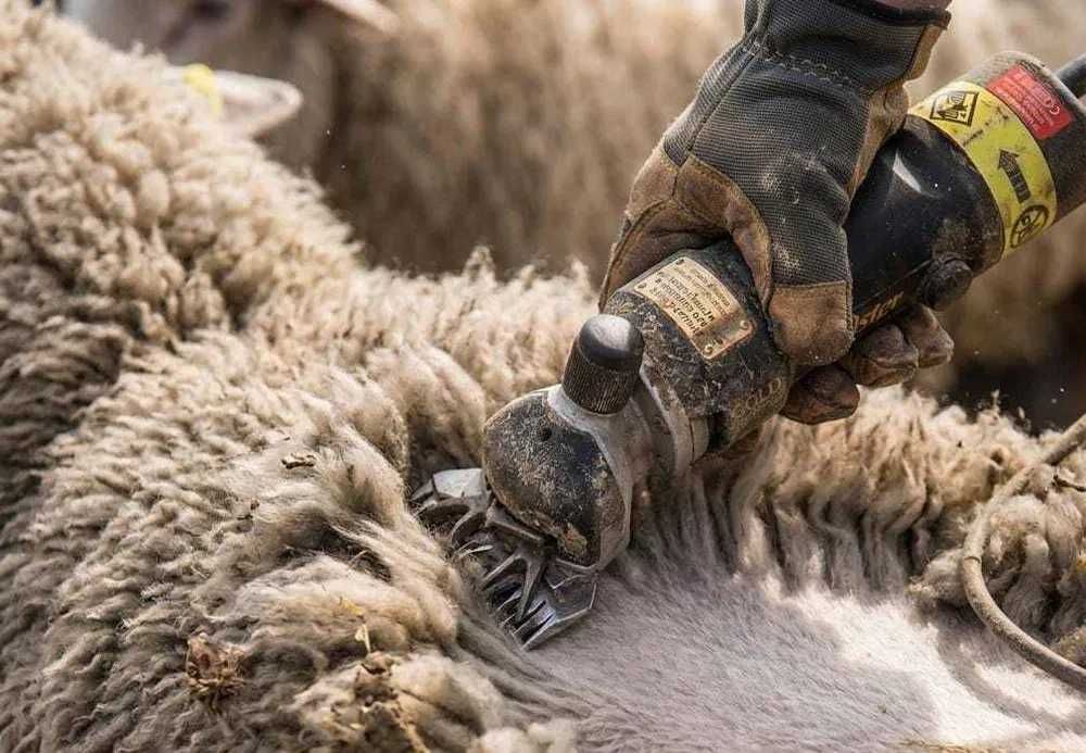 профессиональная машинка для стрижки овец