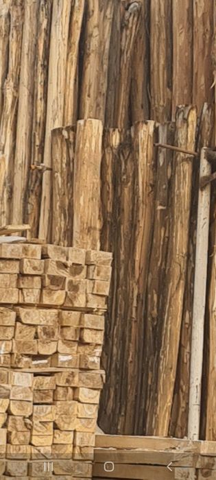 Terak mahsulotlari optim