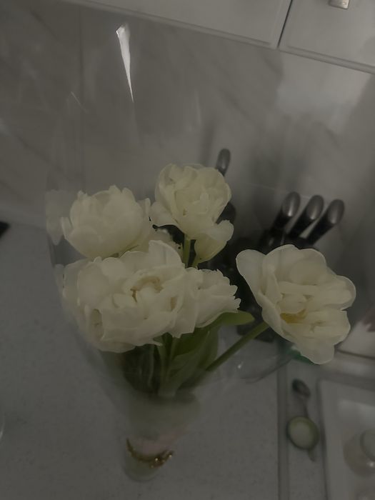 Цветы тюльпаны бу